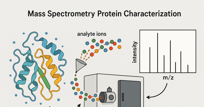 The mass spectrometer is an important characterization of proteins