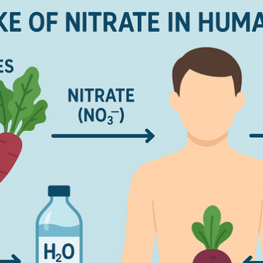 Intake of Nitrate in Humans