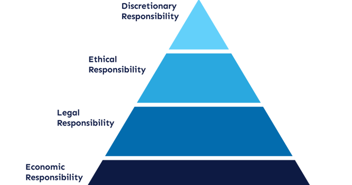 What are Discretionary Responsibilities?
