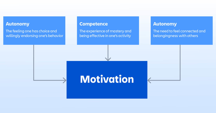 Context of Motivational Theory