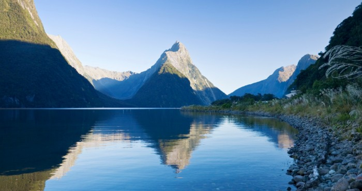 India Role on Tourism in New Zealand
