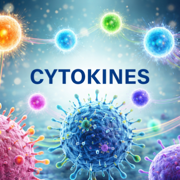 Neurochemistry: Neuroendocrine Immune System Modulation, Cytokines &, Brain Function