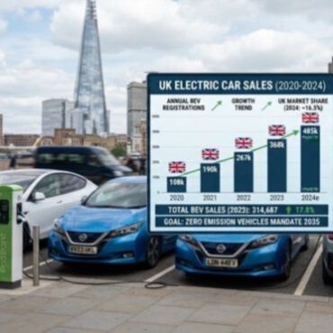 HOW THE GOVERNMENT GRANTS AFFECTED THE SALES OF ELECTRIC CARS IN THE UK FROM 2011 TO 2016