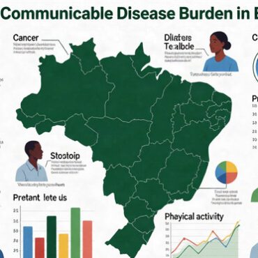 Non-Communicable Disease Burden in Brazil