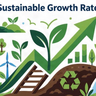 Sustainable growth rate (SGR)
